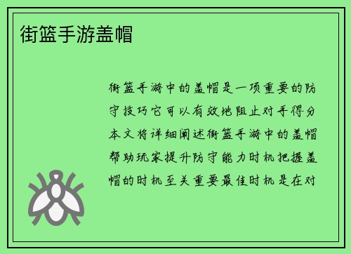 街篮手游盖帽